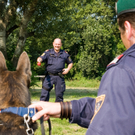 polizei_hunde-5.jpg