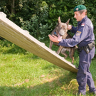 polizei_hunde-10.jpg