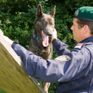 polizei_hunde-11.jpg