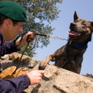 polizei_hunde-7.jpg