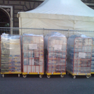 Foto14.JPG