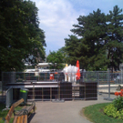 Foto8.JPG