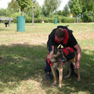 normal_13072010tauchwildenaunfaktivnews0066.jpg