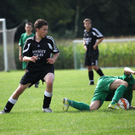 IMG_1595a_bearbeitet-1.jpg