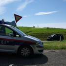 normal_13072010vub158_7.jpg