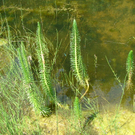 006_jpg-1279094193