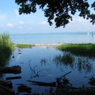 IMG_5245.JPG