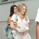 George Gina _ Lucy_Hilary Duff.jpg