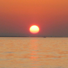 IMG_9272.JPG