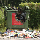 Feldkirch: Papiercontainer in Gisingen ausgebrannt