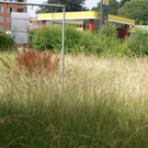 Bild 018_jpg-1279111382