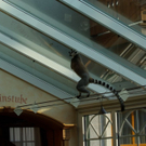 normal_15072010affenjagdfmaktivnews_077.jpg