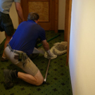 normal_15072010affenjagdfmaktivnews_097.jpg