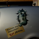normal_15072010affenjagdfmaktivnews_112.jpg