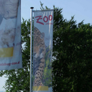 normal_15072010affenjagdfmaktivnews_118.jpg