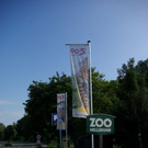normal_15072010affenjagdfmaktivnews_126.jpg