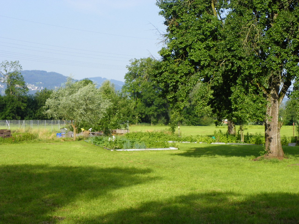 Bild 100_jpg-1279183763