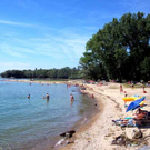 Uferlandschaft Lochau ALT _12_.jpg