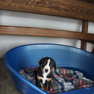 DSC_0043.jpg