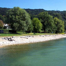Uferlandschaft Lochau ALT _18_.jpg