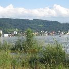 Uferlandschaft Lochau NEU _4_.jpg
