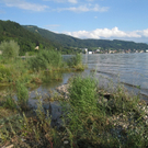 Uferlandschaft Lochau NEU _7_.jpg