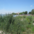 Uferlandschaft Lochau NEU _11_.jpg