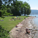 Uferlandschaft Lochau NEU _13_.jpg