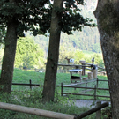 KOE_Erlebnis Wildpark 11_jpg-1279208205