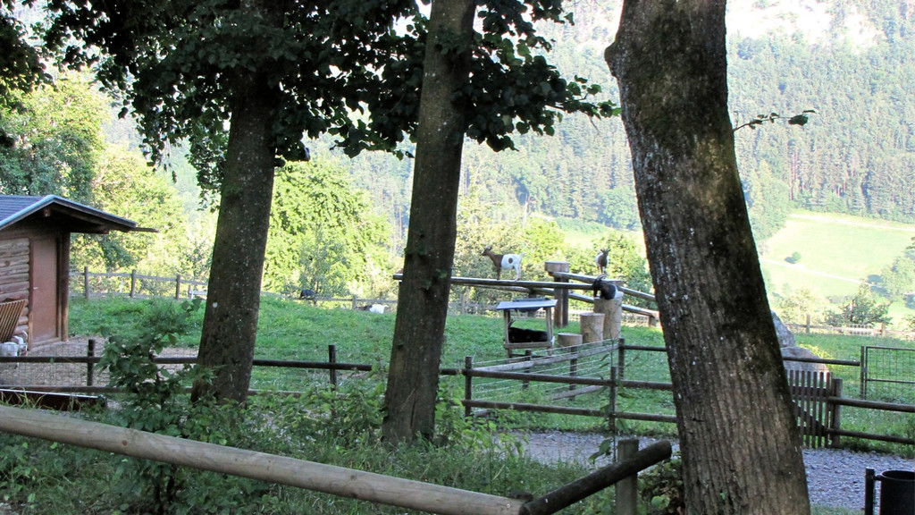 KOE_Erlebnis Wildpark 11_jpg-1279208205
