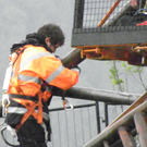 102_7601_jpg-1279209194