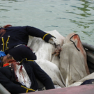 Bild 533_jpg-1279209261