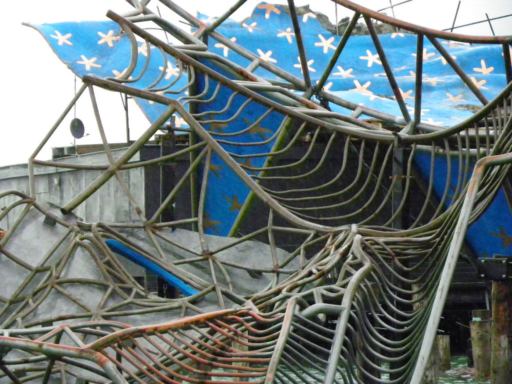 102_7575_jpg-1279209293