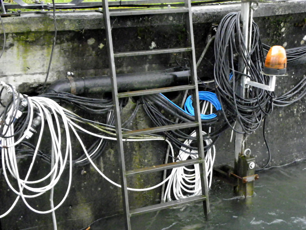 102_7581_jpg-1279209313