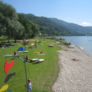 Uferlandschaft Lochau NEU _20_.jpg