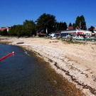 Uferlandschaft Lochau ALT _2_.jpg
