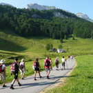Freunde der Sattelalpe