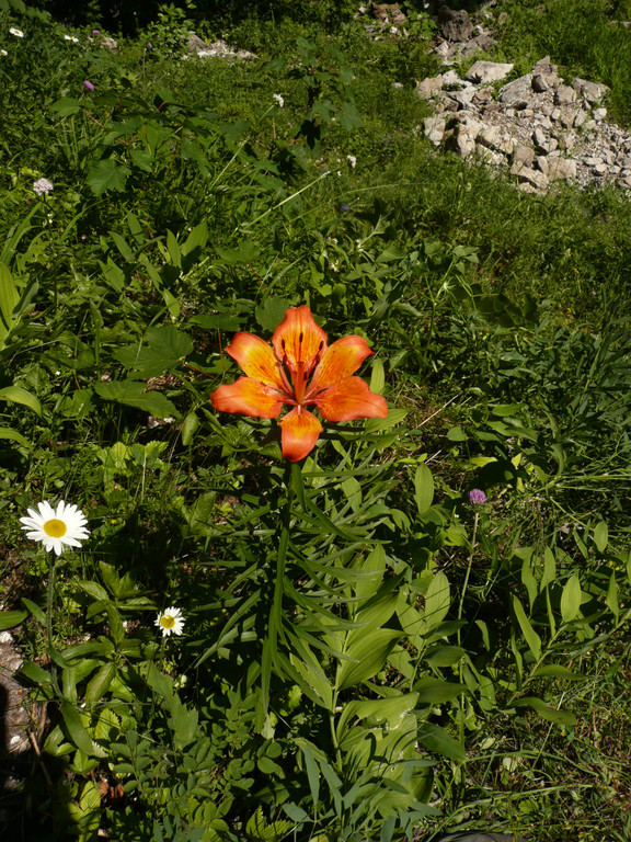 P1070297.JPG