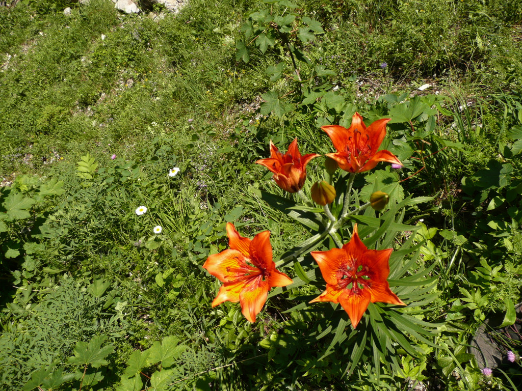 P1070299.JPG