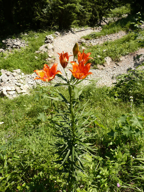 P1070300.JPG