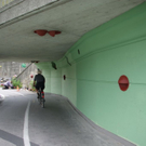normal_15072010stadtgartenfmaktivnews_22.jpg