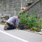 normal_15072010stadtgartenfmaktivnews_26.jpg
