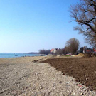 Uferlandschaft Lochau ALT _9_.jpg