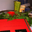 DSC02786.JPG