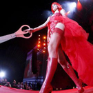 Die besten Bilder vom Life Ball 2008