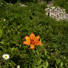 P1070297.JPG