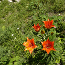 P1070299.JPG