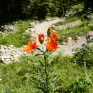 P1070300.JPG