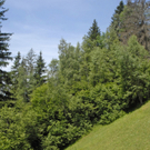 _DSC0544_JPG-1279315232