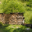 _DSC0547_JPG-1279315285